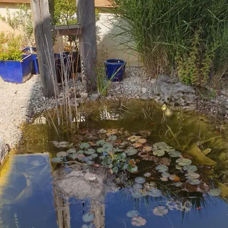 Bed and breakfast Evis 3*