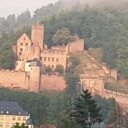 Evis Wertheim